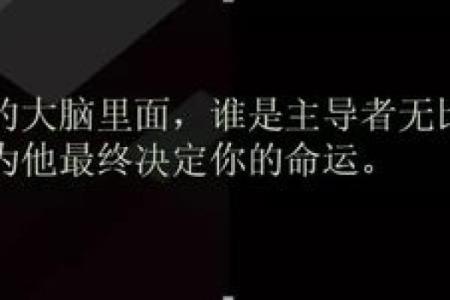 杨颖命理分析：命运密码中隐藏的成功秘诀
