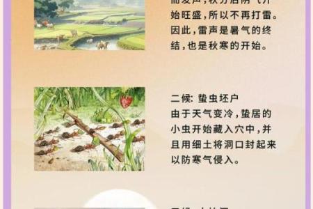 秋分：天文视角解读自然变化与生活节律