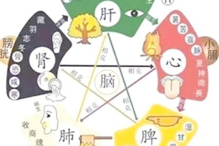 五行格局颠覆性解读:原来这样改变性格最有效