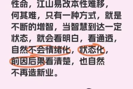 鹏之翼下：五行格局中的性格误区与颠覆性解读
