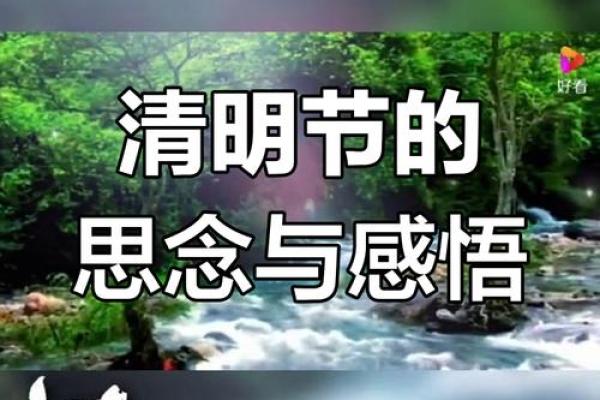 清明节：追思先人，感悟生命的深沉