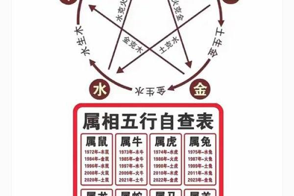 你的出生日期藏着什么秘密？揭秘五行性格解析误区