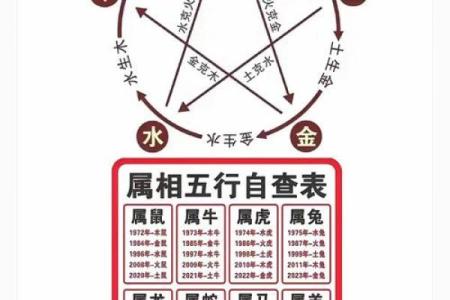 你的出生日期藏着什么秘密?揭秘五行性格解析误区