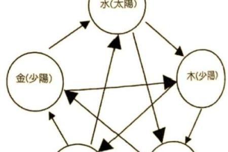 薇五行格局误区大揭秘：原来你一直误解了性格力量