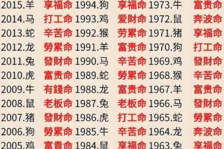 命运密码揭示:你钱包中的暗藏玄机竟能决定人生走向