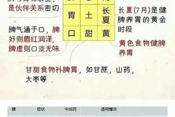 食的五行格局破解：颠覆传统观念，打造你的个性化饮食方案