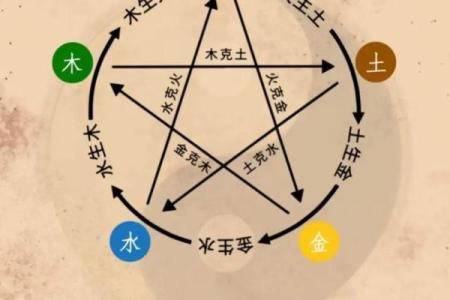 性格解析:五行木揭示你的内在潜能与色彩密码