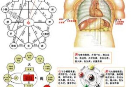睿五行，揭秘性格误区：如何正确认识与改变？