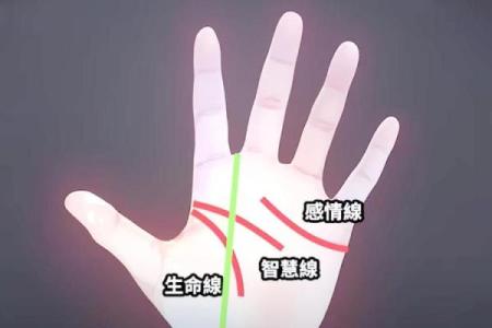 刘若英命理揭秘：命运密码背后隐藏的误区，如何改变人生轨迹