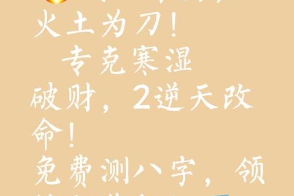 小龙女的命运密码：如何揭开她八字中的暗藏玄机