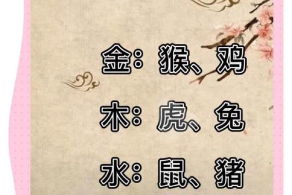 猪年五行布局：如何改变你的财运与事业格局？