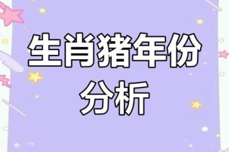 猪年五行布局：如何改变你的财运与事业格局？