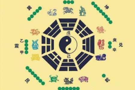 五行格局揭秘：蔬菜的五行属性，你知道多少？