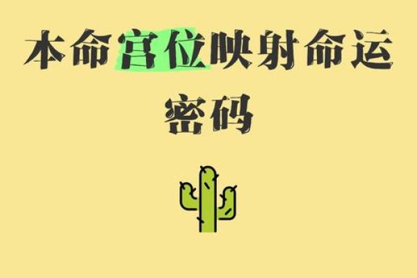 探秘刘恺威的命运密码：八字背后的颠覆真相