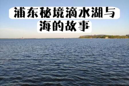 三月十二日的历史意义：农耕与天文的交汇点