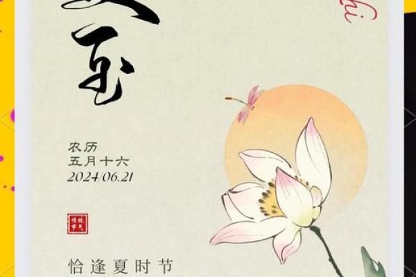 六月节气：夏至的养生与文化传承
