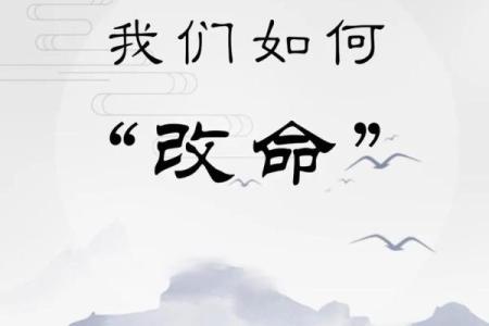 如何改变命运？探究璨五行格局，开启性格重塑之旅