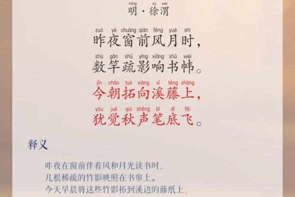 竹之五行格局：揭秘竹子的性格解析与如何改变你的生活态度