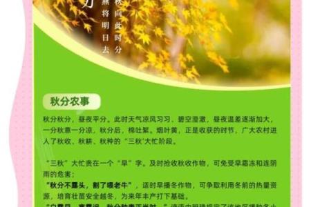 立秋带来的天文现象与古老节庆