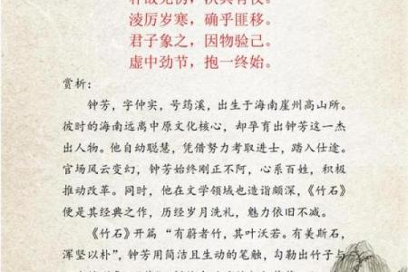 竹之五行格局：揭秘竹子的性格解析与如何改变你的生活态度