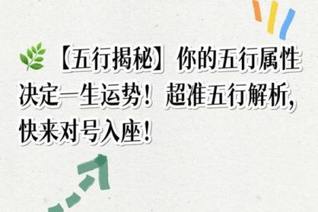 五行格局大揭秘:揭秘性格解析中的五大实用技巧