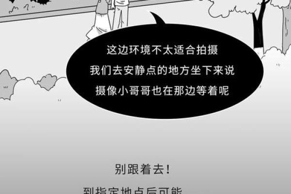 陈宝莲命理误区：如何避开这些常见的命运陷阱