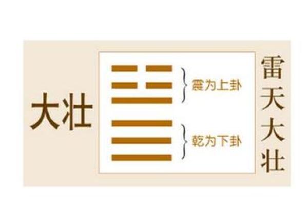 大象五行格局揭秘：性格解析背后的惊人真相