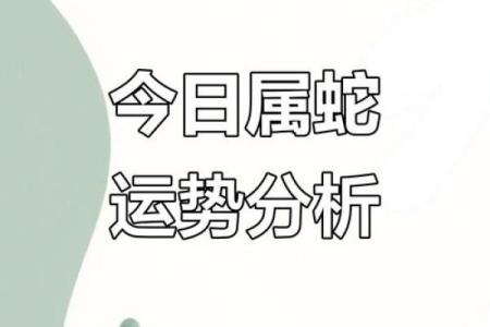 蛇属五行反而旺运势？揭秘如何利用格局提升人生境界