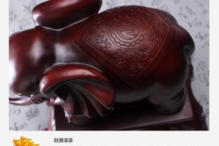 大象五行格局揭秘：性格解析背后的惊人真相