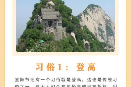 重阳节：习俗与养生的双重意义