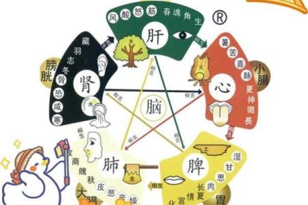 夏至临近，如何根据天文规律调节饮食与作息