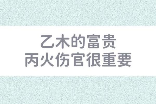 如何改变八字命运?乙木大富贵背后的秘密与常见误区 如何改变八字命运?乙木大富贵背后的秘密与常见误区