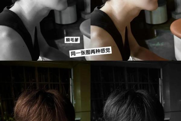 夏之光命理误区大曝光：你竟然忽视了这些改变命运的关键！