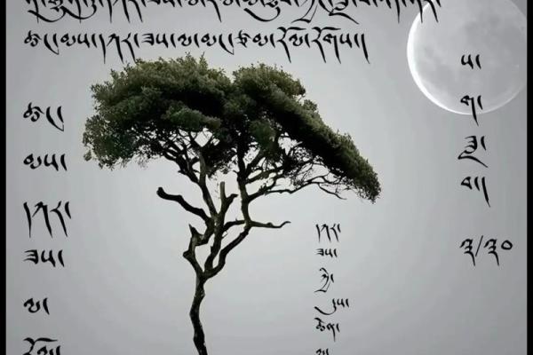 今天是藏族的萨嘎达瓦节，感悟文化与信仰的深厚