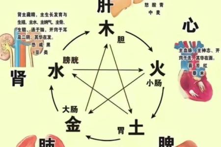 五行格局解码:揭秘如何提升你的内在能量