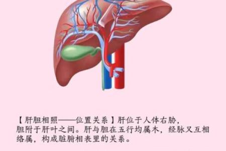 翔五行格局重塑术:如何改变,让你的命运焕然一新?
