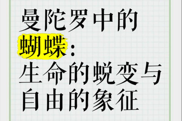 五行格局下的蝴蝶性格:颠覆传统,揭秘性格塑造新法则 五行格局下的蝴蝶性格:颠覆传统,揭秘性格塑造新法则