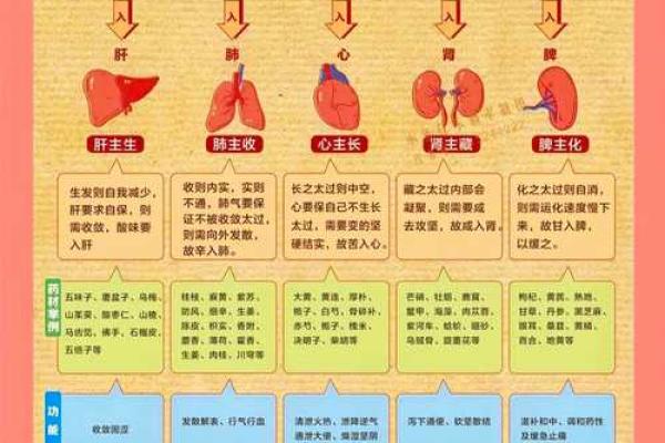 饭店五行格局揭秘：如何巧妙运用五行，提升你的经营魅力？