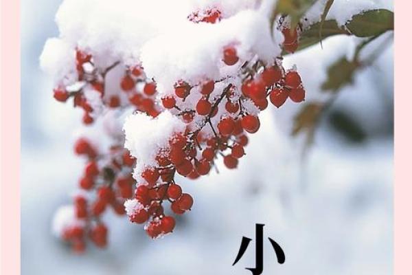 小雪节气与秋冬之交:农耕与养生的双重启示 小雪节气与秋冬之交:农耕与养生的双重启示