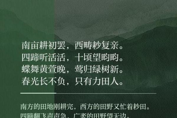 在五月三十日了解中国的农耕传统