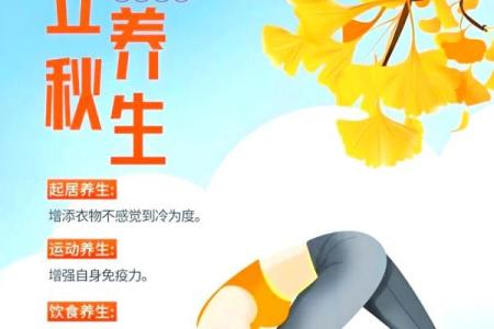 秋收时节与健康养生的完美结合