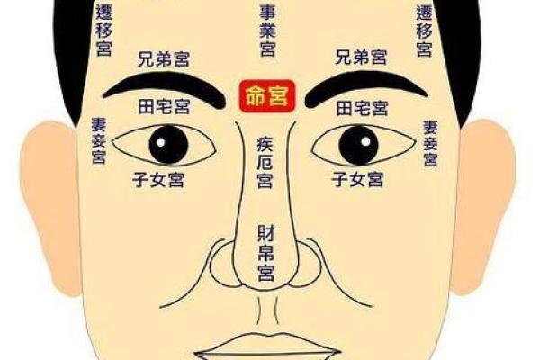 颠覆传统面相学,如何通过额头改变命运走向 颠覆传统面相学,如何通过额头改变命运走向