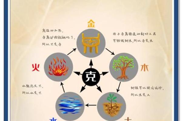 属木职业者的性格解析：揭开五行格局的神秘面纱，教你如何改变自己
