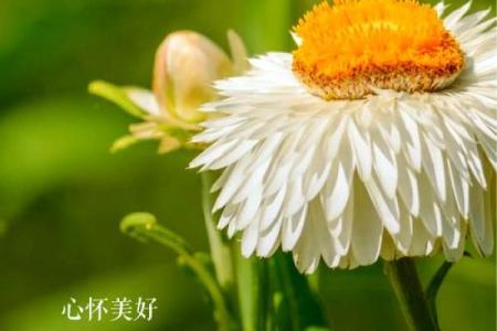 如何改变命运？数字4的五行格局，揭秘你的潜在力量与误区
