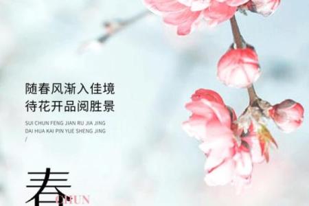 母亲节的天文象征与春季的节气关系