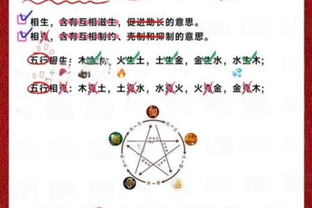 属木职业者的性格解析：揭开五行格局的神秘面纱，教你如何改变自己