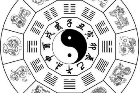 张泽华命理揭秘：你的命运密码隐藏在哪些细节中？