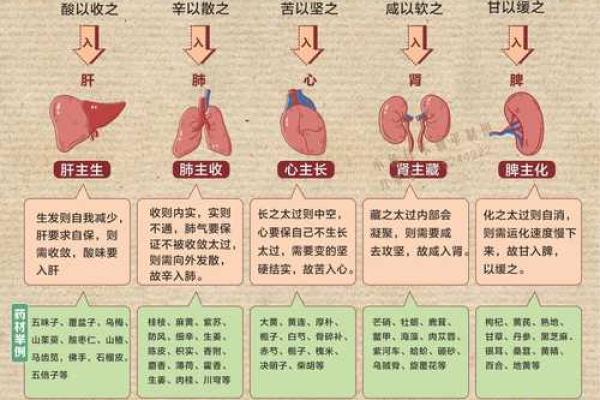 养生与习俗:中国节日中的健康智慧 养生与习俗:中国节日中的健康智慧