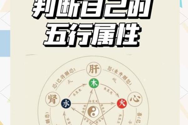 性格解析探秘:五行属什么格局,你的潜力有多大? 性格解析探秘:五行属什么格局,你的潜力有多大?