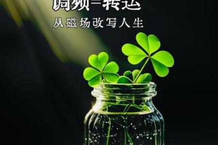 男孩头上的旋涡，改变命运的关键竟然在这里